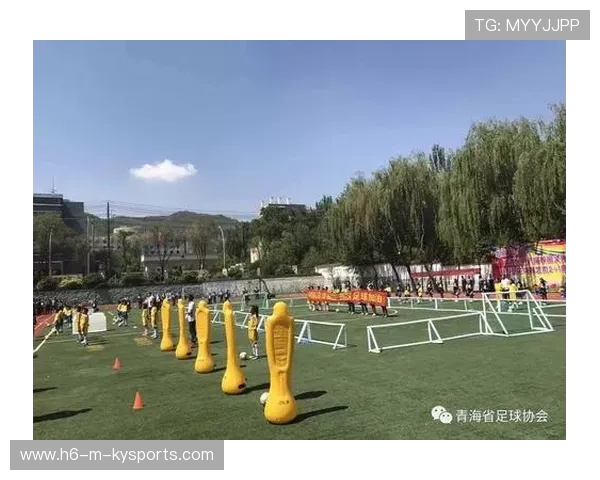 国际羽毛球协会在青训中推动教练员持续进修提升教学质量,羽毛球教练员培训计划方案 国际羽毛球协会在青训中推动教练员持续进修提升教学质量,羽毛球教练员培训计划方案